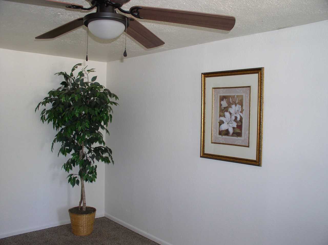 2709 West Rose Hill Street #4 - Photo 2 of 9