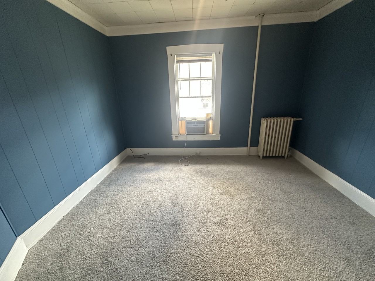 117 Marshall Terrace #119 - Photo 5 of 11