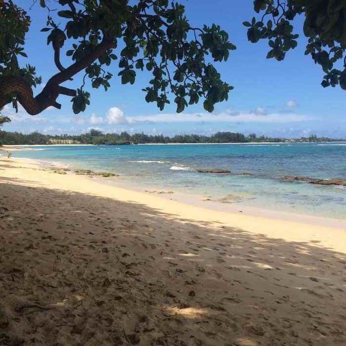 54 Kamehameha Highway #2 - Photo 2 of 18