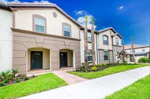 featured image of Adriatico Ln #1