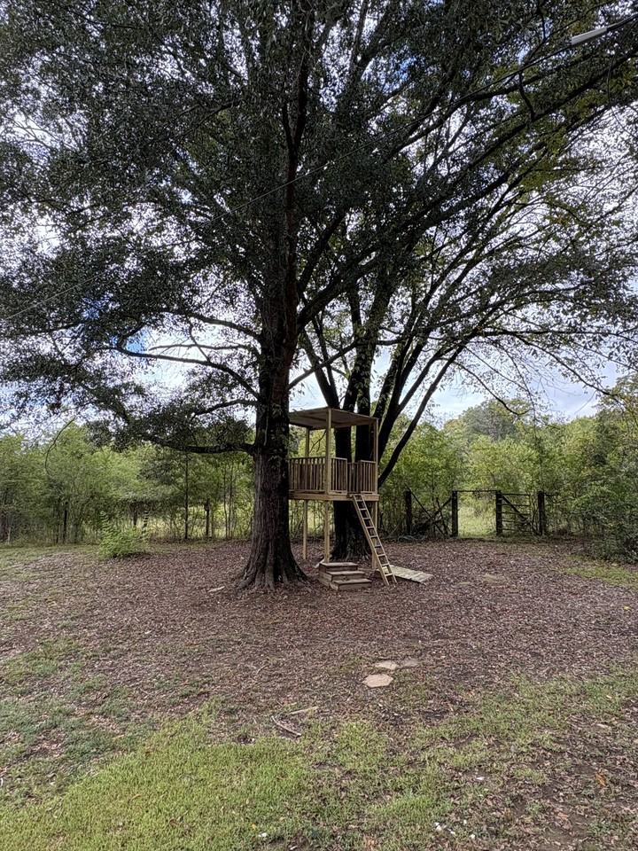 188 County Road 198 #1 - Photo 7 of 9