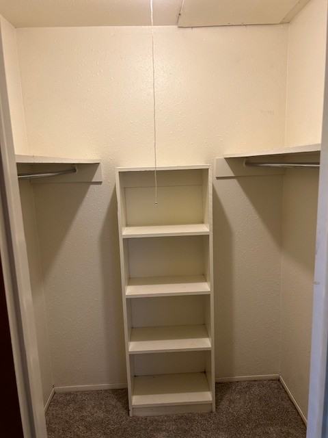 3224 South Lakewood Avenue #2 - Photo 5 of 11