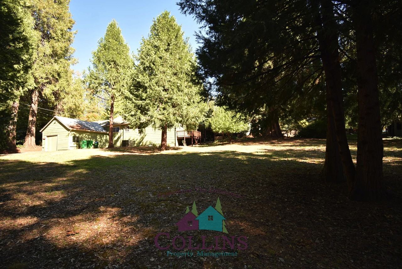 10879 Gold Flat Road #1 - Photo 2 of 21