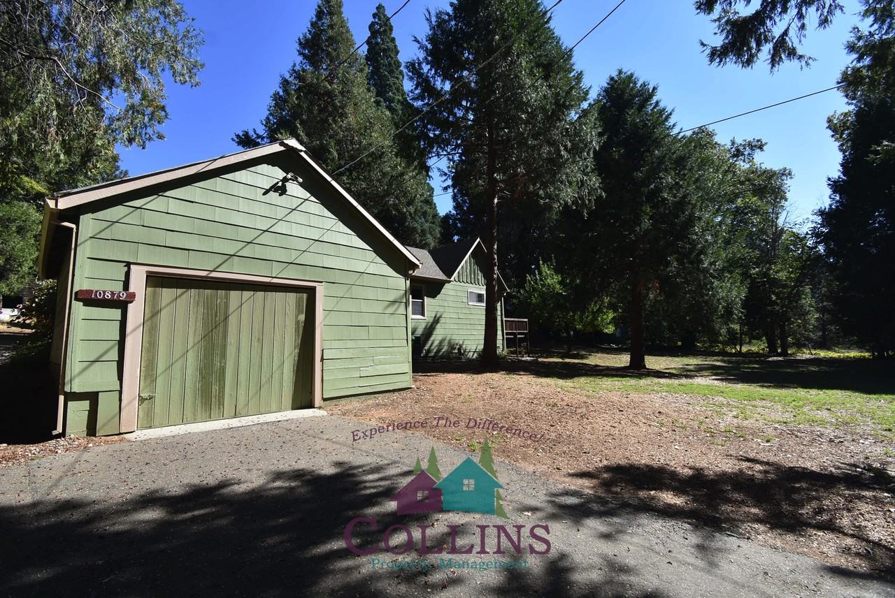 10879 Gold Flat Road #1 - Photo 3 of 21