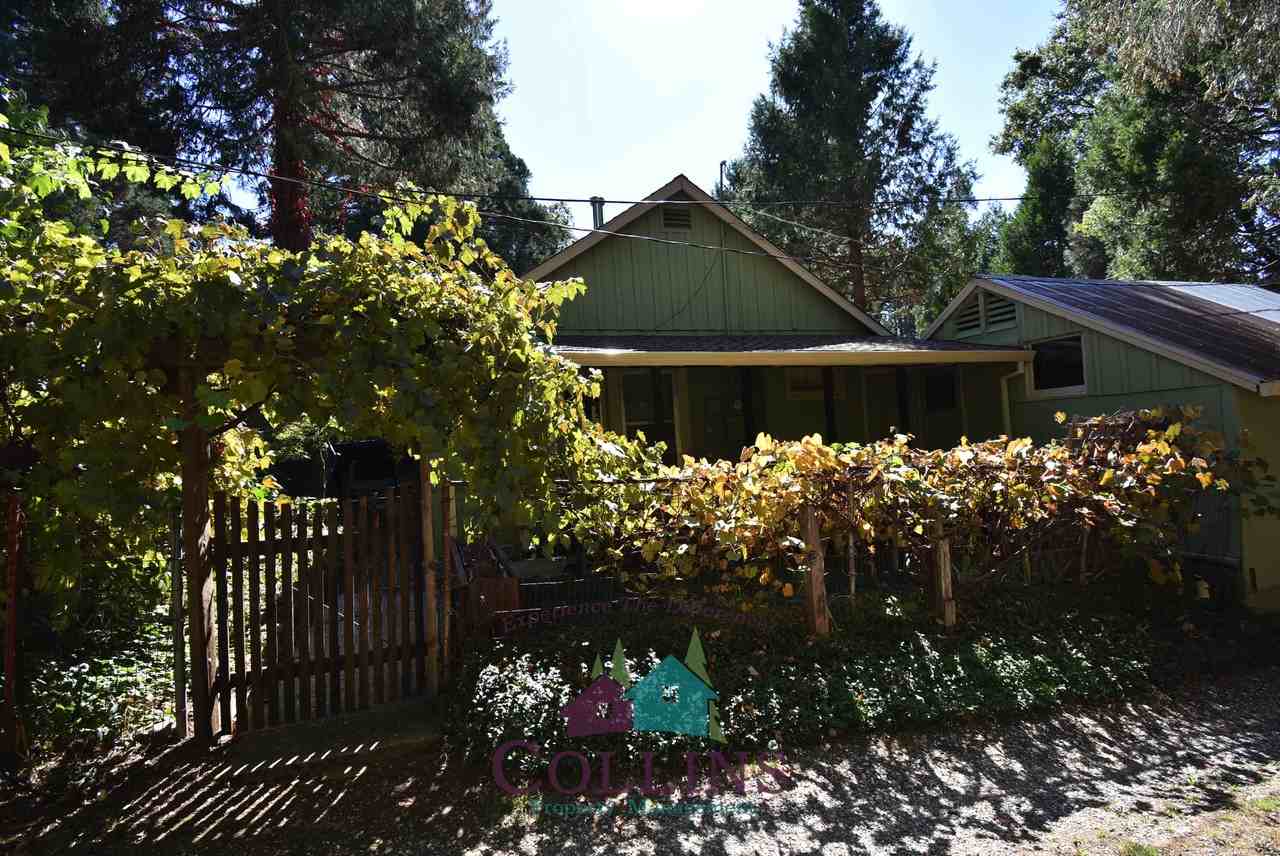 10879 Gold Flat Road #1 - Photo 4 of 21