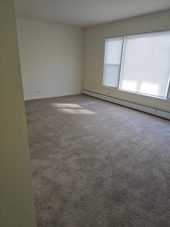 9841 S Harlem Ave Apt 1c #1C - Photo 3 of 33