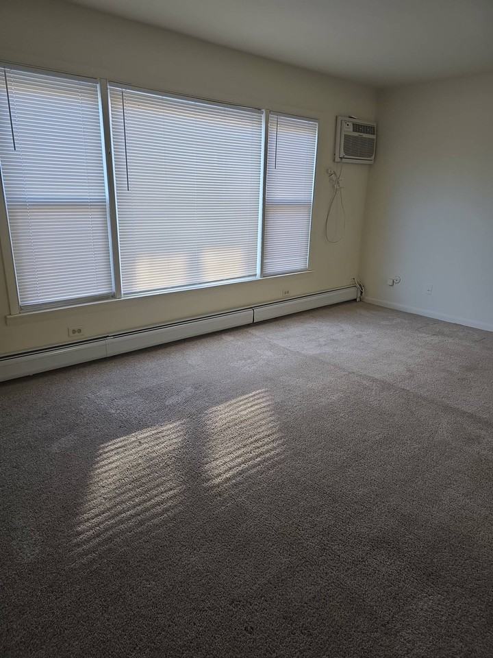 9841 S Harlem Ave Apt 1c #1C - Photo 4 of 33