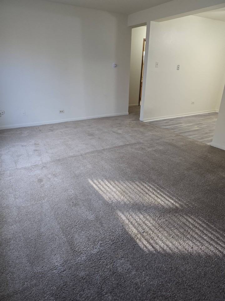 9841 S Harlem Ave Apt 1c #1C - Photo 5 of 33