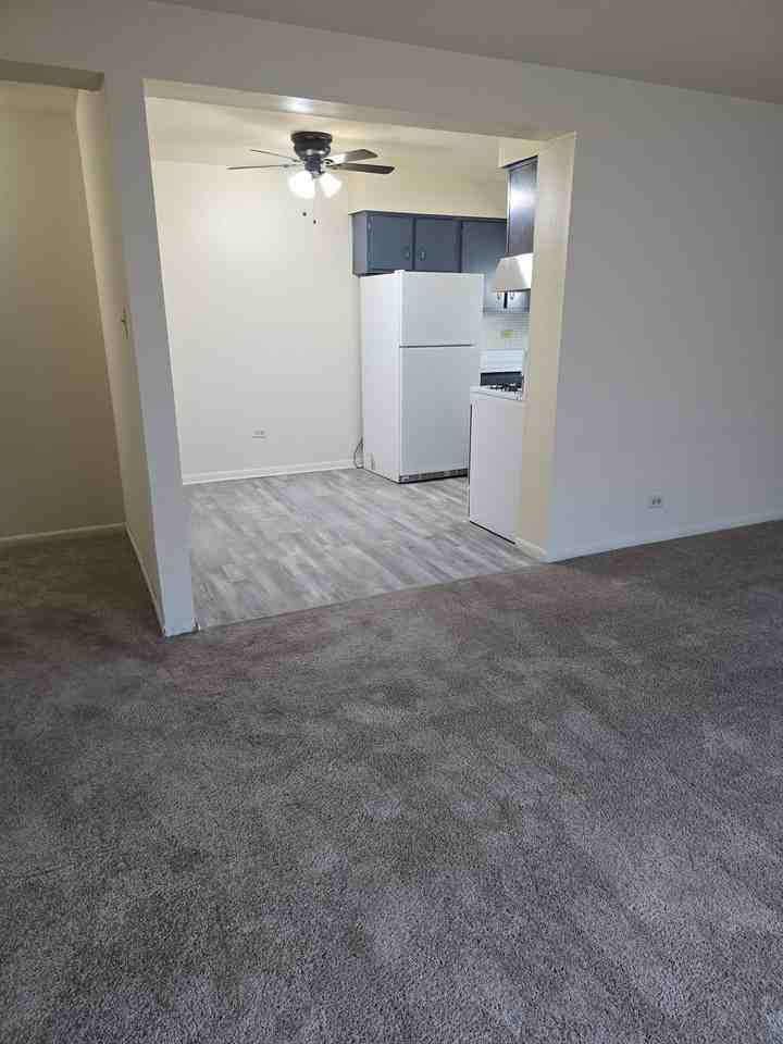 9841 S Harlem Ave Apt 1c #1C - Photo 6 of 33
