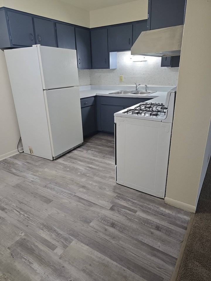 9841 S Harlem Ave Apt 1c #1C - Photo 7 of 33