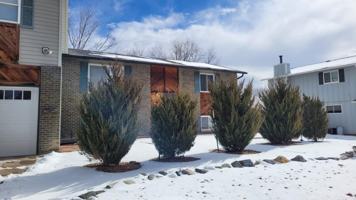 featured image of 3508 Chestnut Avenue