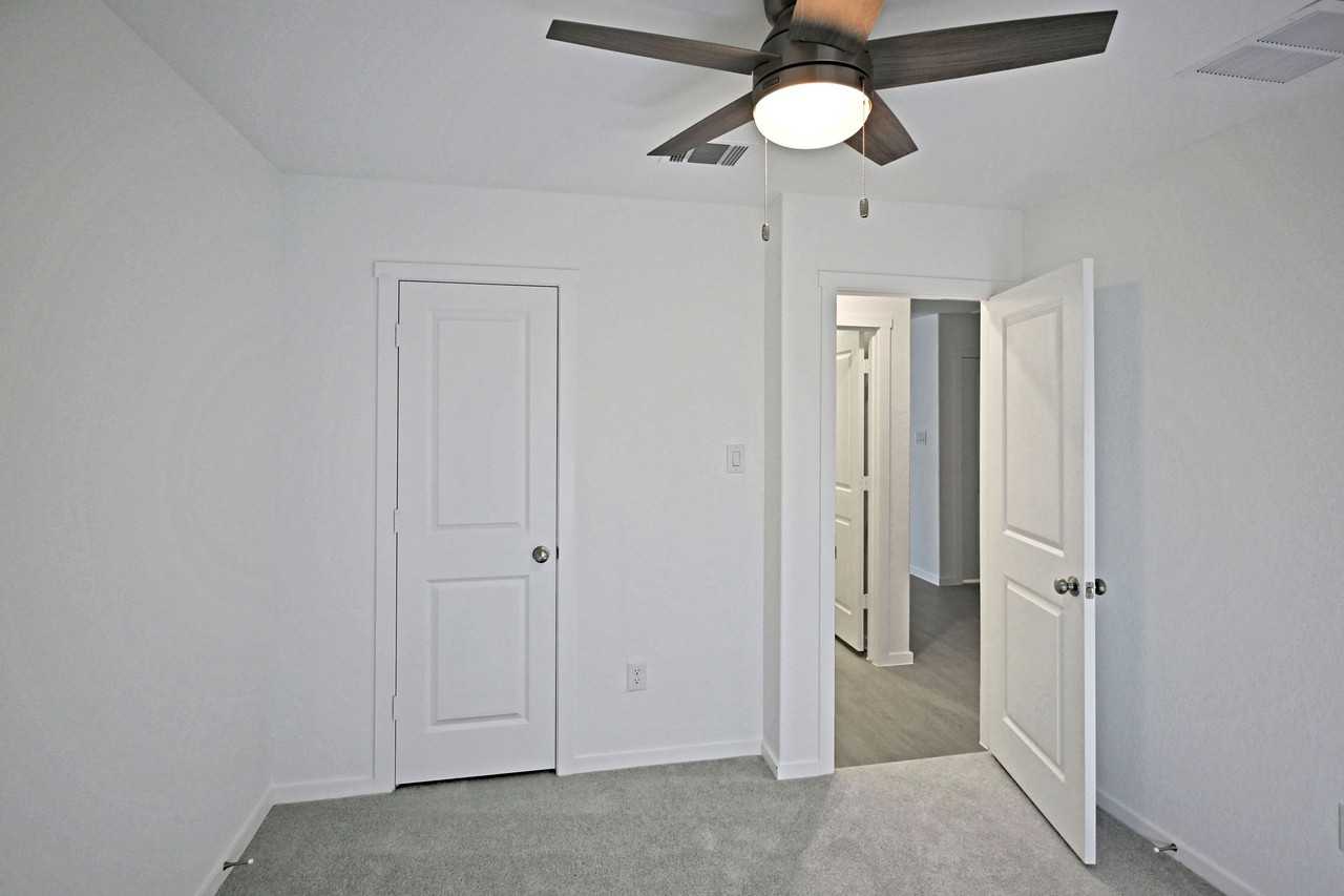 Stonechat #1 - Photo 3 of 42