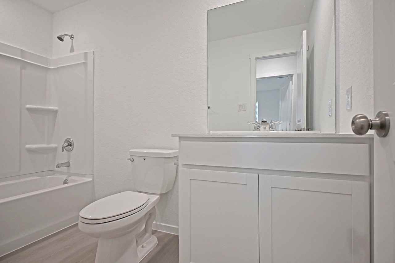 Stonechat #1 - Photo 4 of 42