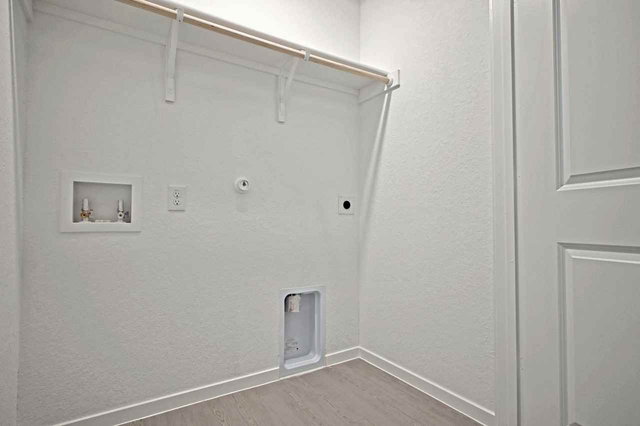 Stonechat #1 - Photo 6 of 42