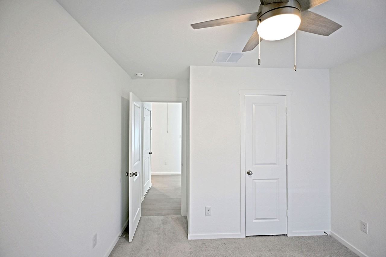 Stonechat #1 - Photo 7 of 42