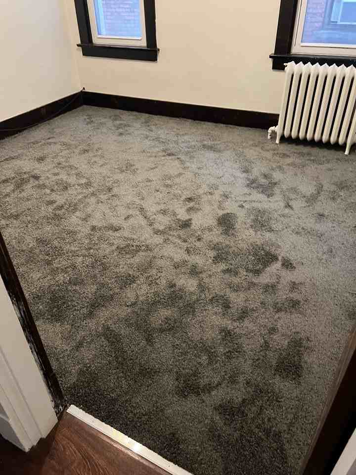 827 Maple Avenue #2 - Photo 5 of 7