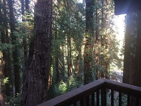 100 Wildomar St #1 - Photo 1 of 1