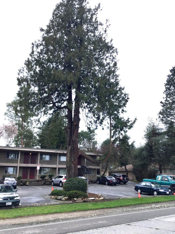 14839 Military Rd S #121 - Photo 2 of 2