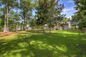 featured image of 3609 White Drive #1