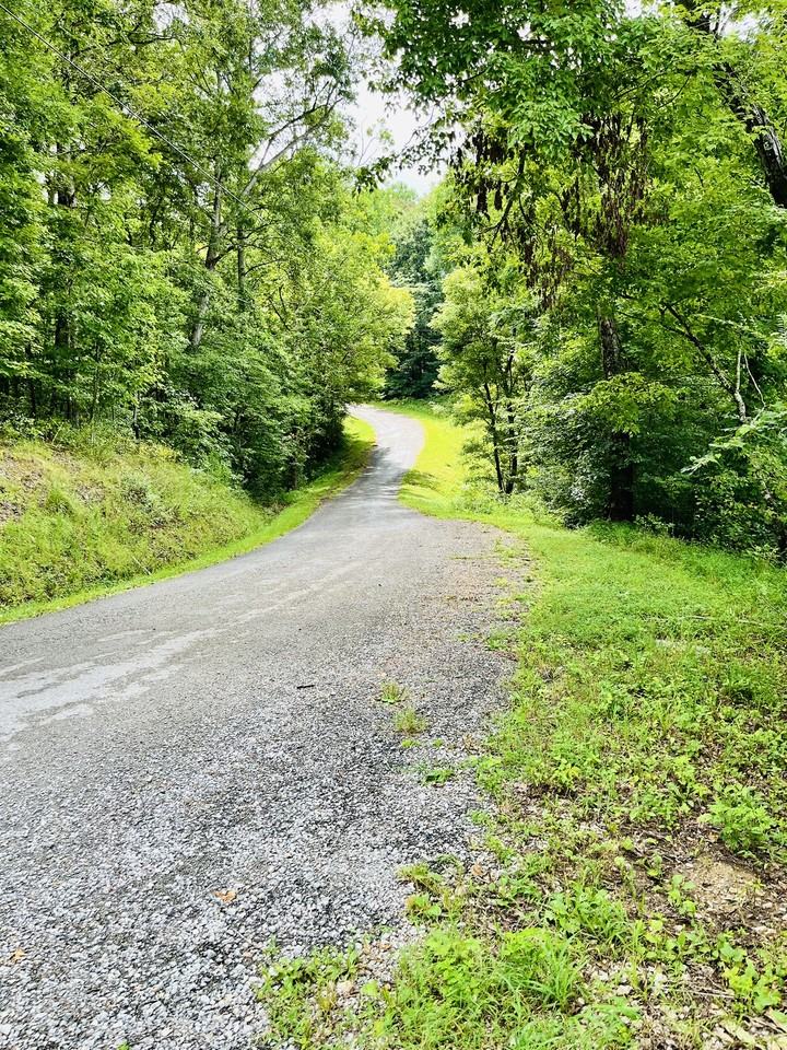 169 Henley Rd #1 - Photo 6 of 28