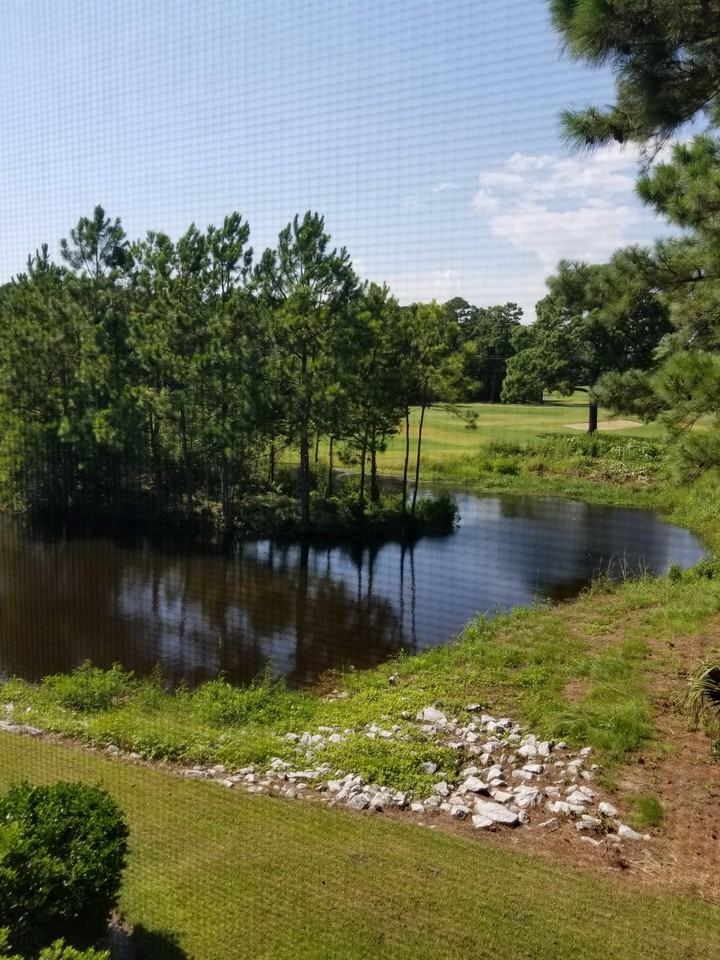 889 Palmetto Trl #1 - Photo 2 of 28