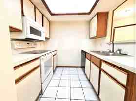 703 Trekker Street - Photo 1 of 1