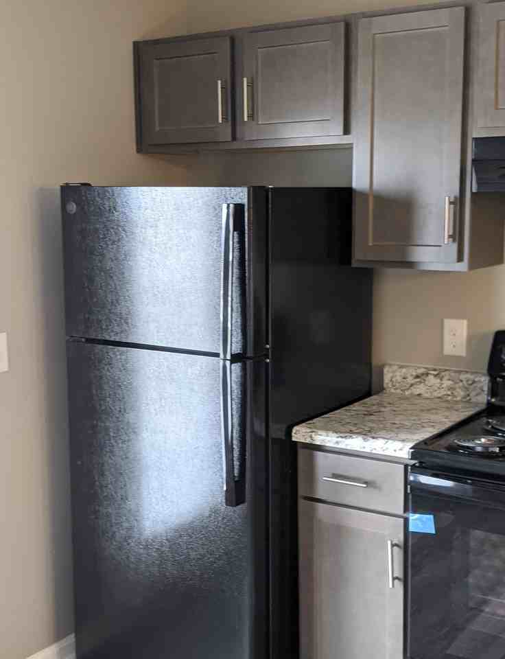 12517 Orell Crossing Cir #12517-202 - Photo 5 of 20