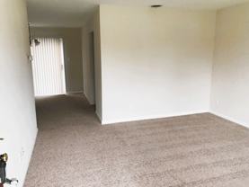 3776 South Plaza Trail #1 - Photo 1 of 1