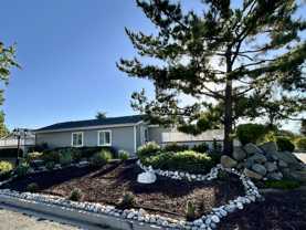 34793 Farm Road #1 - Photo 1 of 1