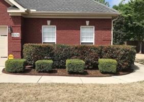 featured image of 6604 Lizzie Ln SE #1