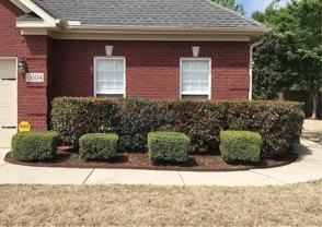 6604 Lizzie Ln SE #1 - Photo 1 of 1