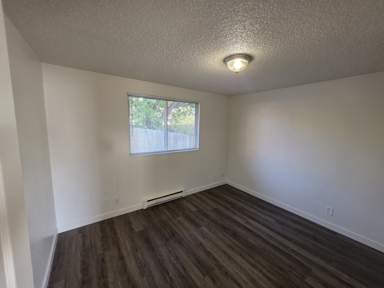 482 Mae St #1 - Photo 3 of 8