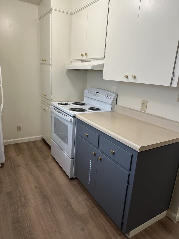 663 Cordelia Drive #1 - Photo 5 of 17