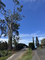 featured image of 3655 Brewer Road #1