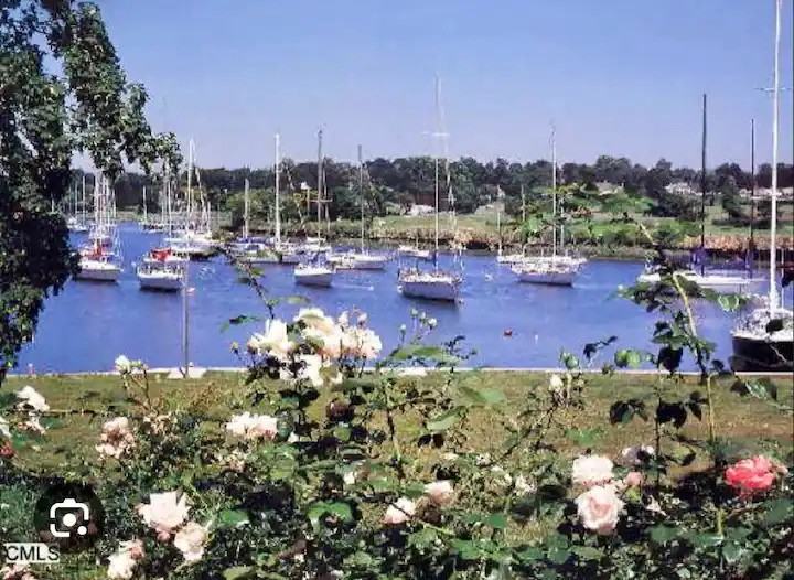 437 Hulls Farm Rd - Photo 6 of 14