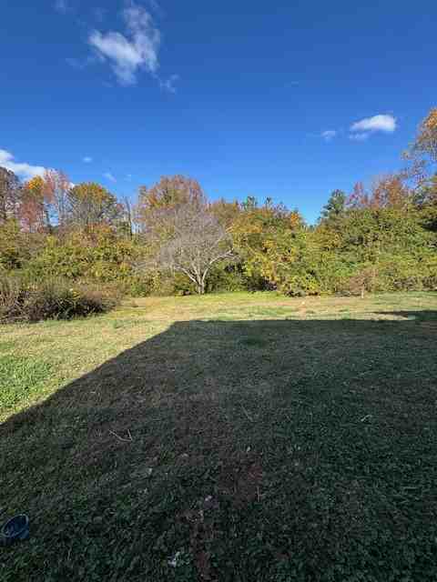 204 Brisco St #1 - Photo 4 of 32