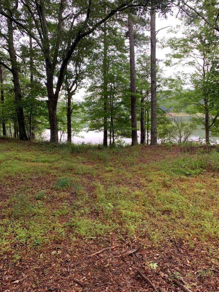 3745 Feldwood PlaceUnit 1 #1 - Photo 6 of 8