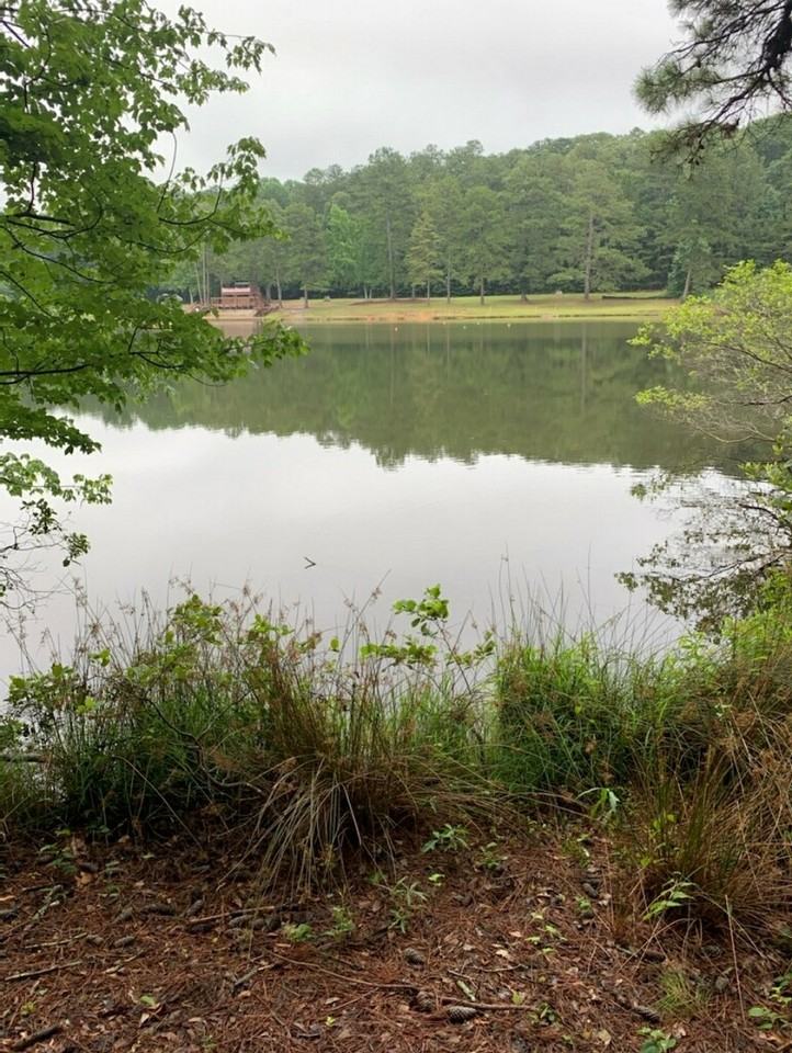 3745 Feldwood PlaceUnit 1 #1 - Photo 7 of 8