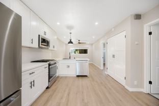 Chestnut 2619 - Photo 1 of 1