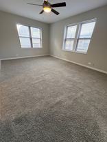 Washington Pine - Photo 1 of 1