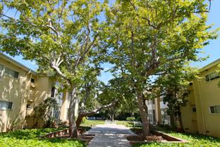 The Sea Cliff - Photo 1 of 1