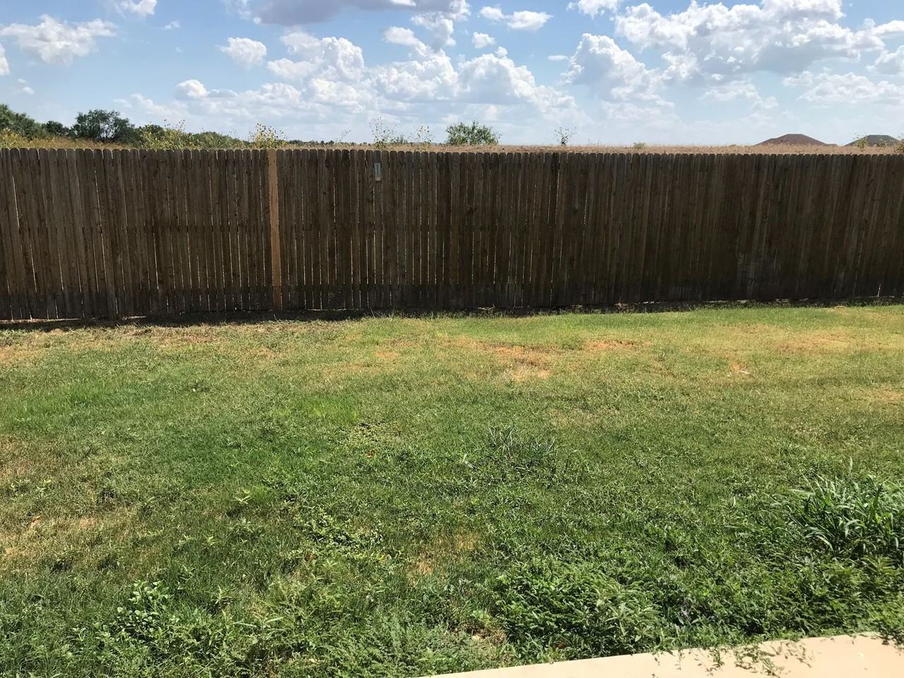 1417 Tulane Dr - Photo 3 of 19