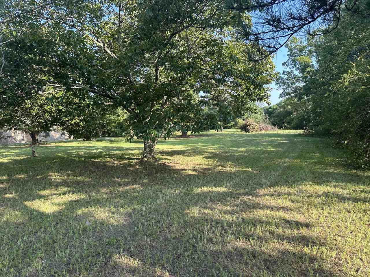 6545 County Road 53 #1 - Photo 2 of 5