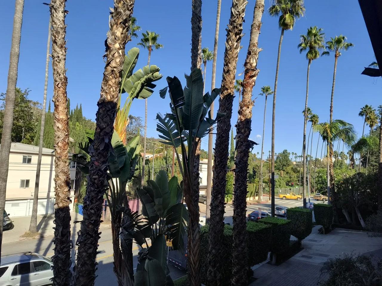 7616 Hollywood Boulevard - Photo 7 of 7