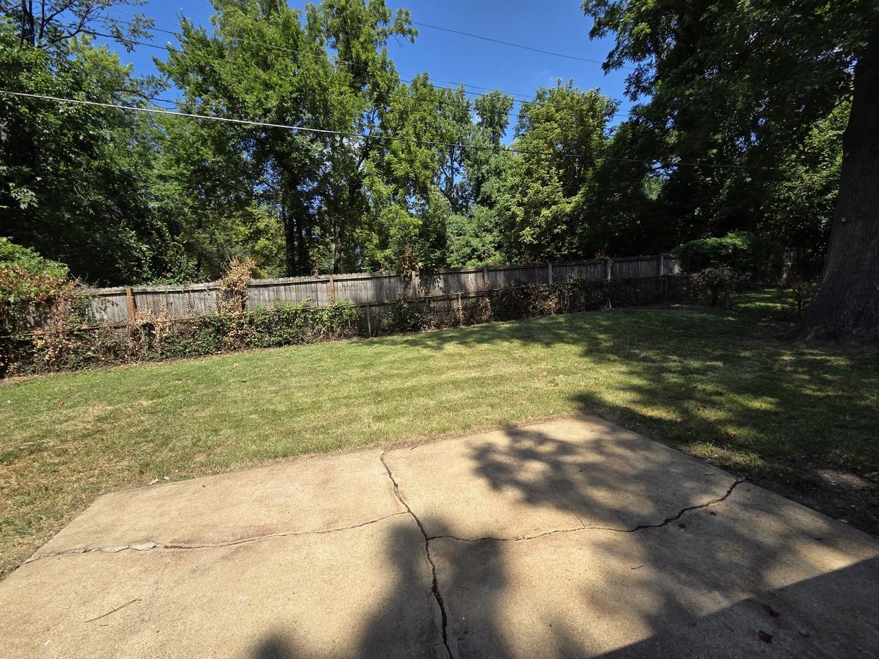 2321 Noll Drive #1 - Photo 3 of 13