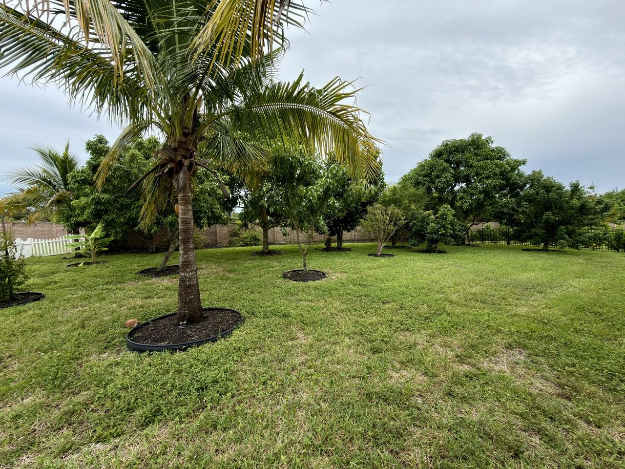 9368 Via Murano Ct #0 - Photo 7 of 31