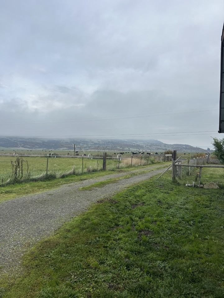 11505 Table Rock Road #1 - Photo 5 of 22