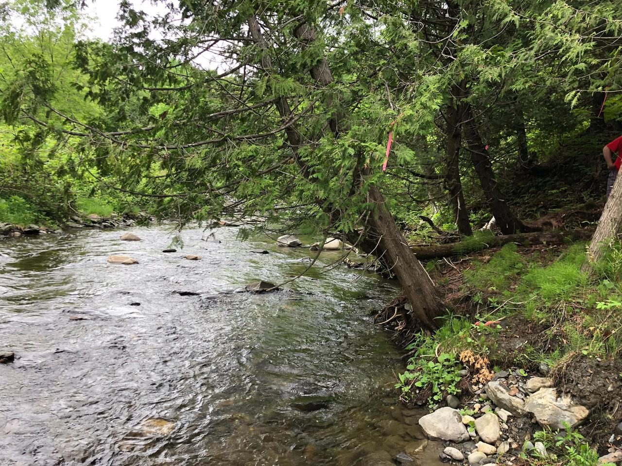 26 Main St #5 - Photo 6 of 19