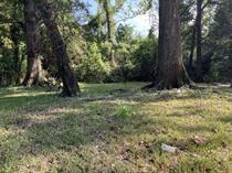 2604 Commonwealth Ave #10 - Photo 5 of 22