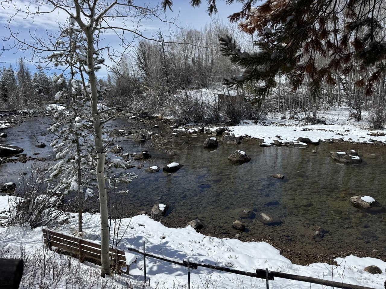 79 Riverside Road #1 - Photo 6 of 10